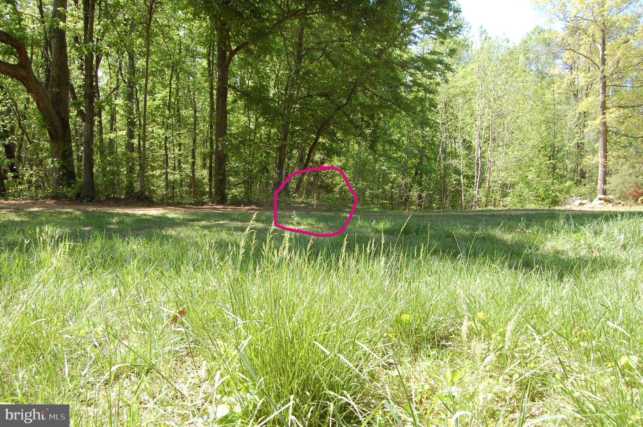 0 Tidewater Trail Rappahannock Academy, VA 22538 - Photo 50 of 64 a backyard of a house with a yard and large trees