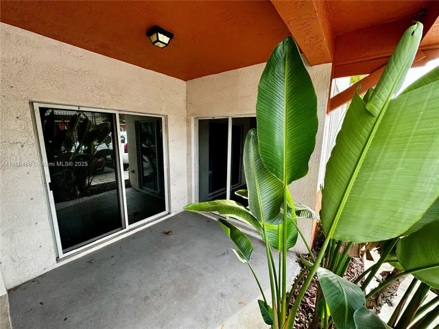 a view of a potted plants in front of a building