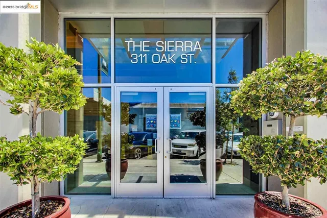 a view of front door and potted plants