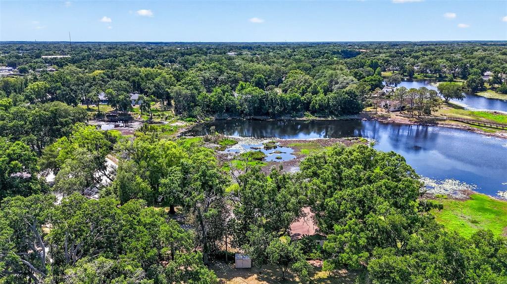 16330 Hanna Road Lutz, FL 33549 - Photo 34 of 41 a view of a garden with a lake