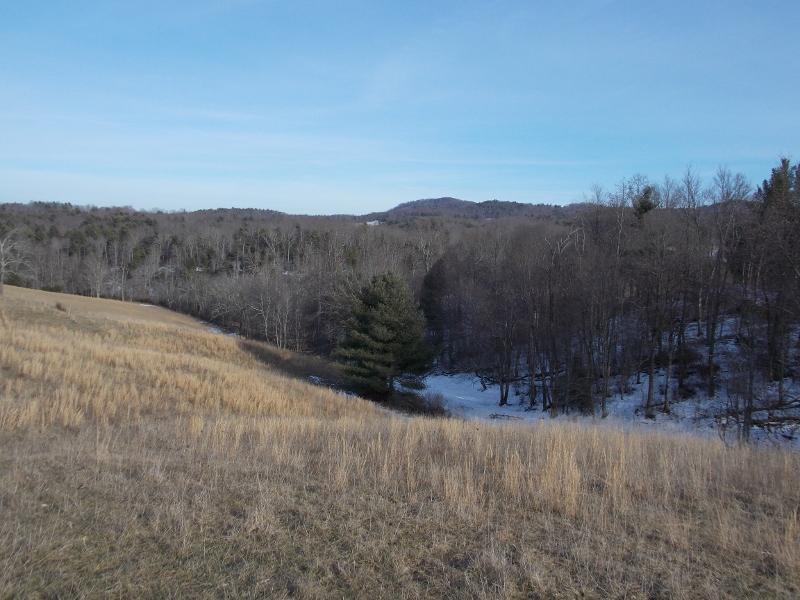 163 Pugh Road Northwest Riner, VA 24149 - Photo 39 of 59 a view of a yard with a mountain