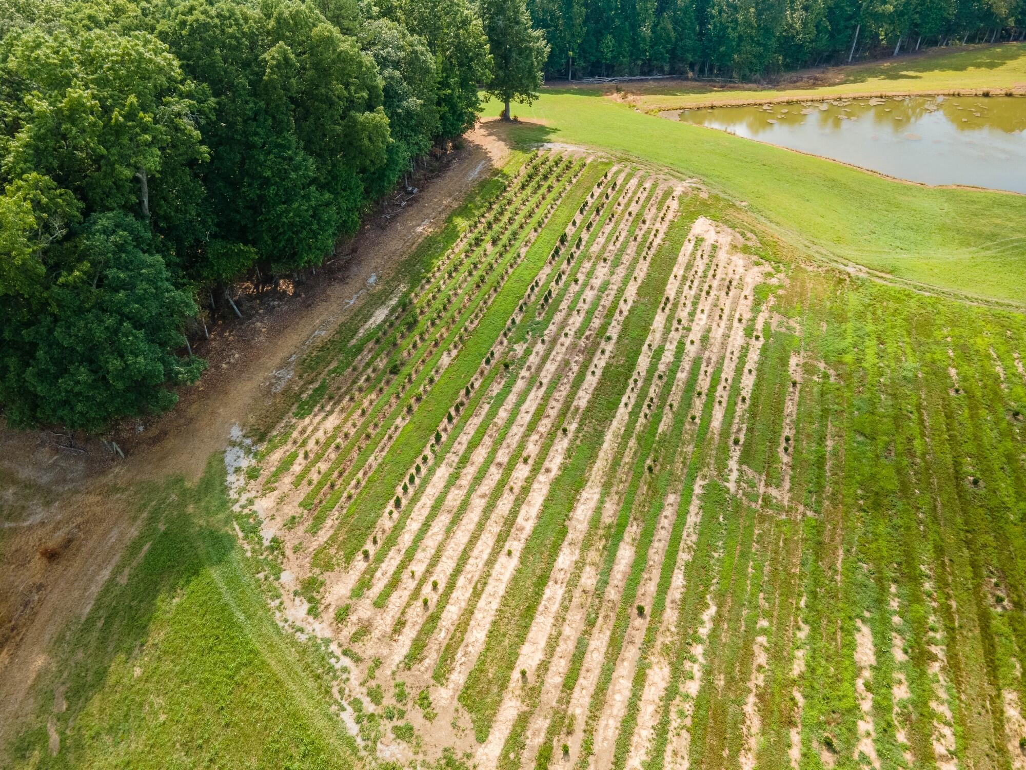 8599 Keavy Road Keavy, KY 40737 - Photo 20 of 29 38 - DJI_0078-HDR