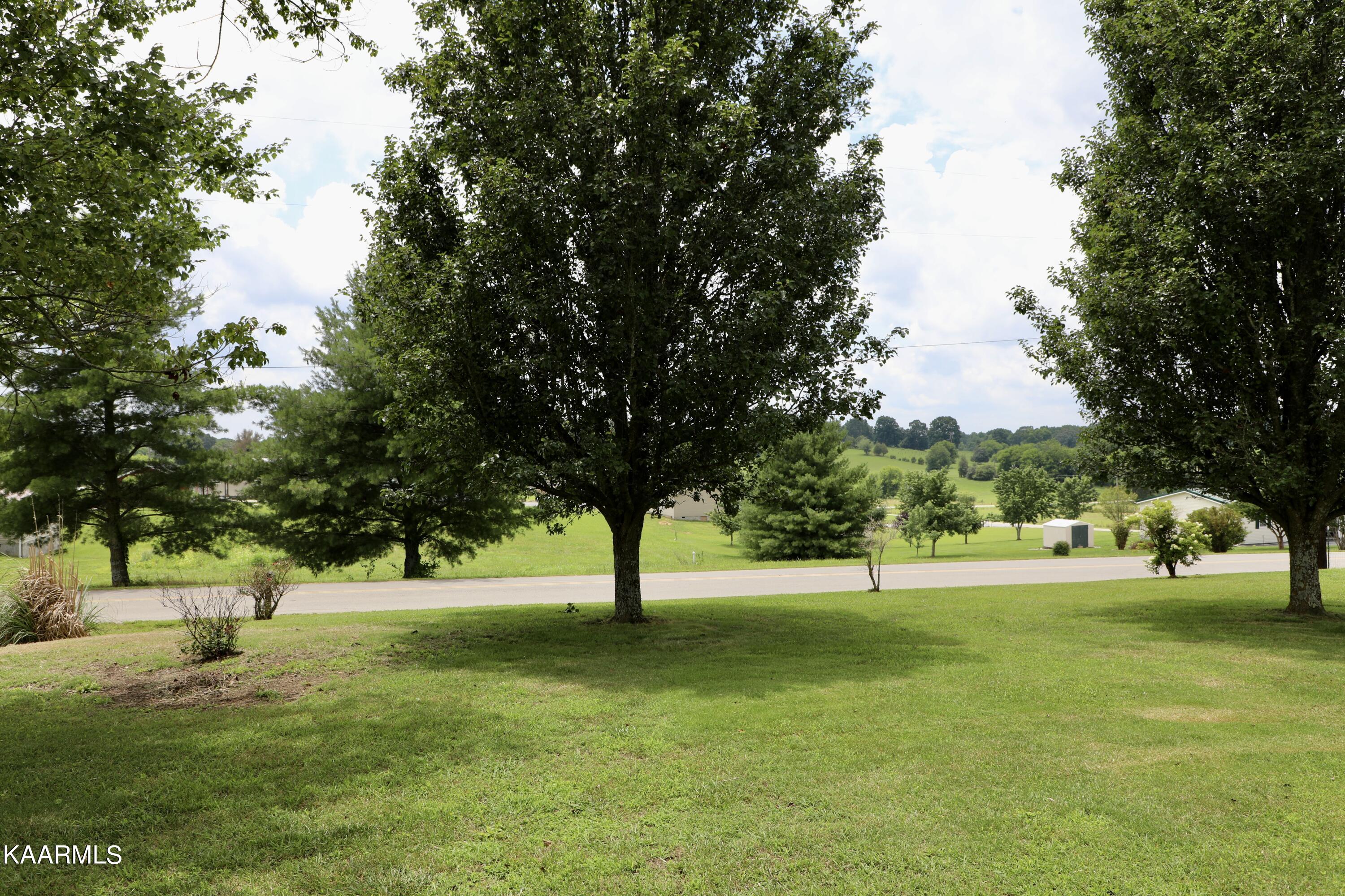 297 County Road 312 Sweetwater, TN 37874 - Photo 28 of 35 Front Yard