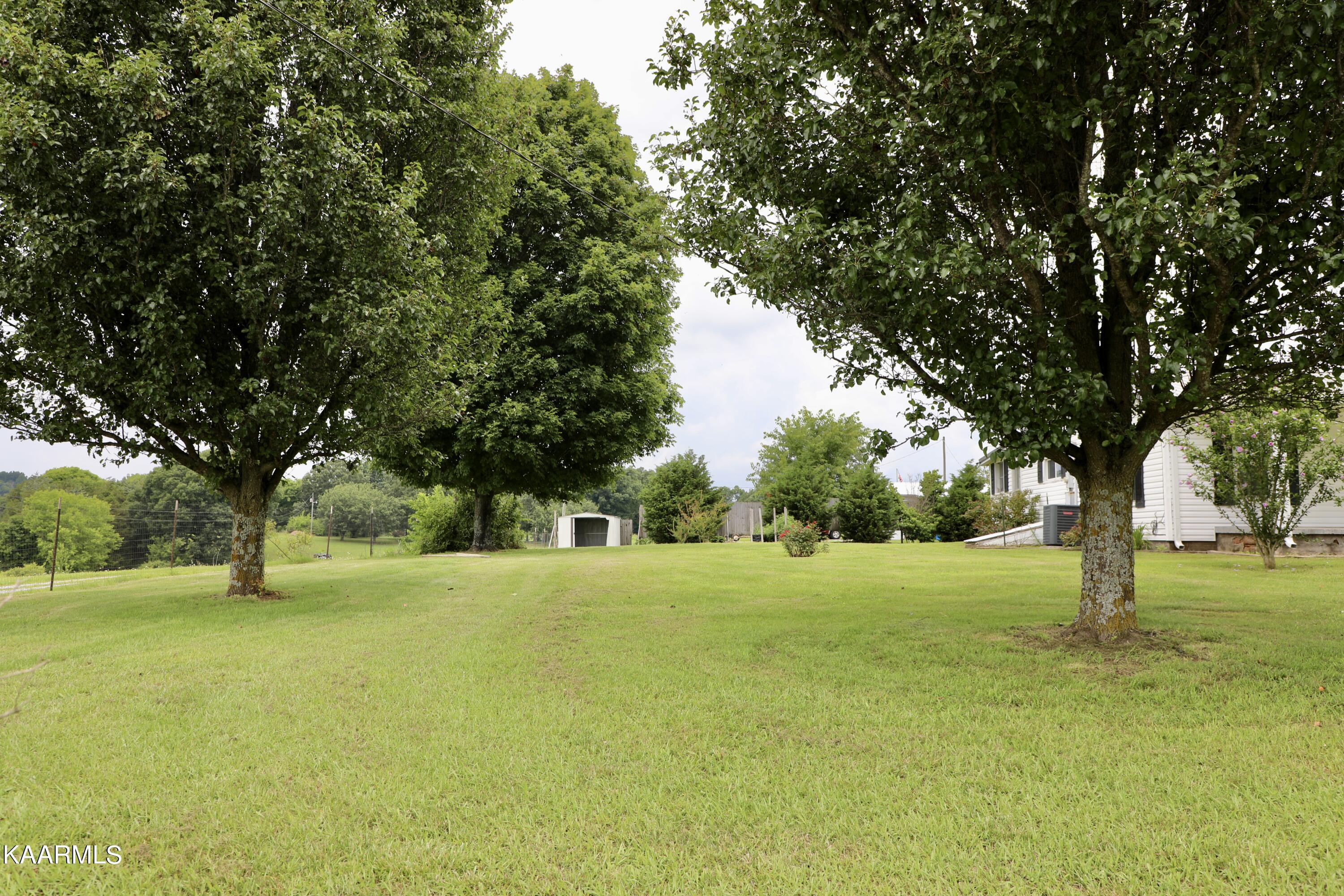 297 County Road 312 Sweetwater, TN 37874 - Photo 30 of 35 Side Yard