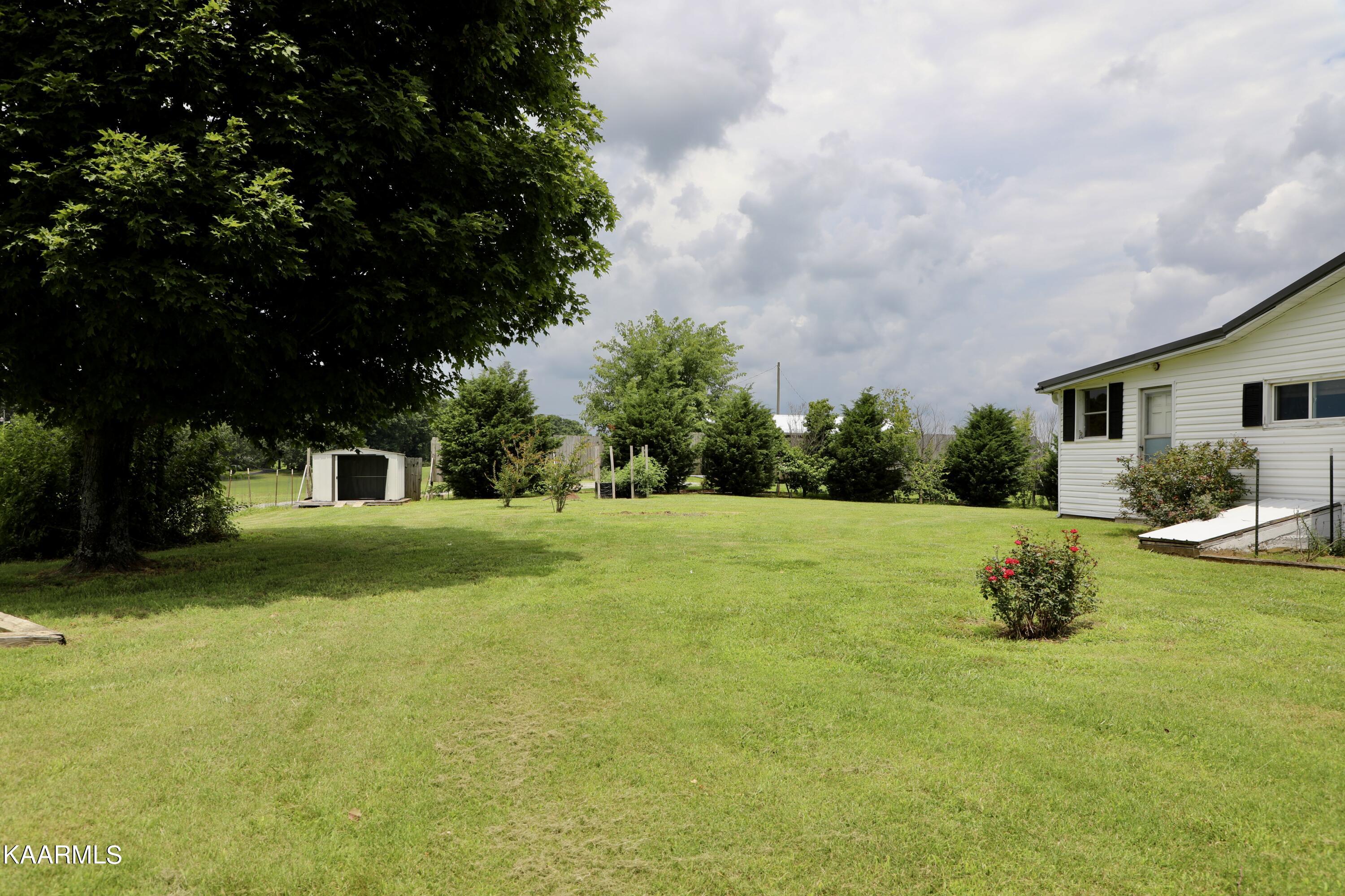 297 County Road 312 Sweetwater, TN 37874 - Photo 31 of 35 Side Yard