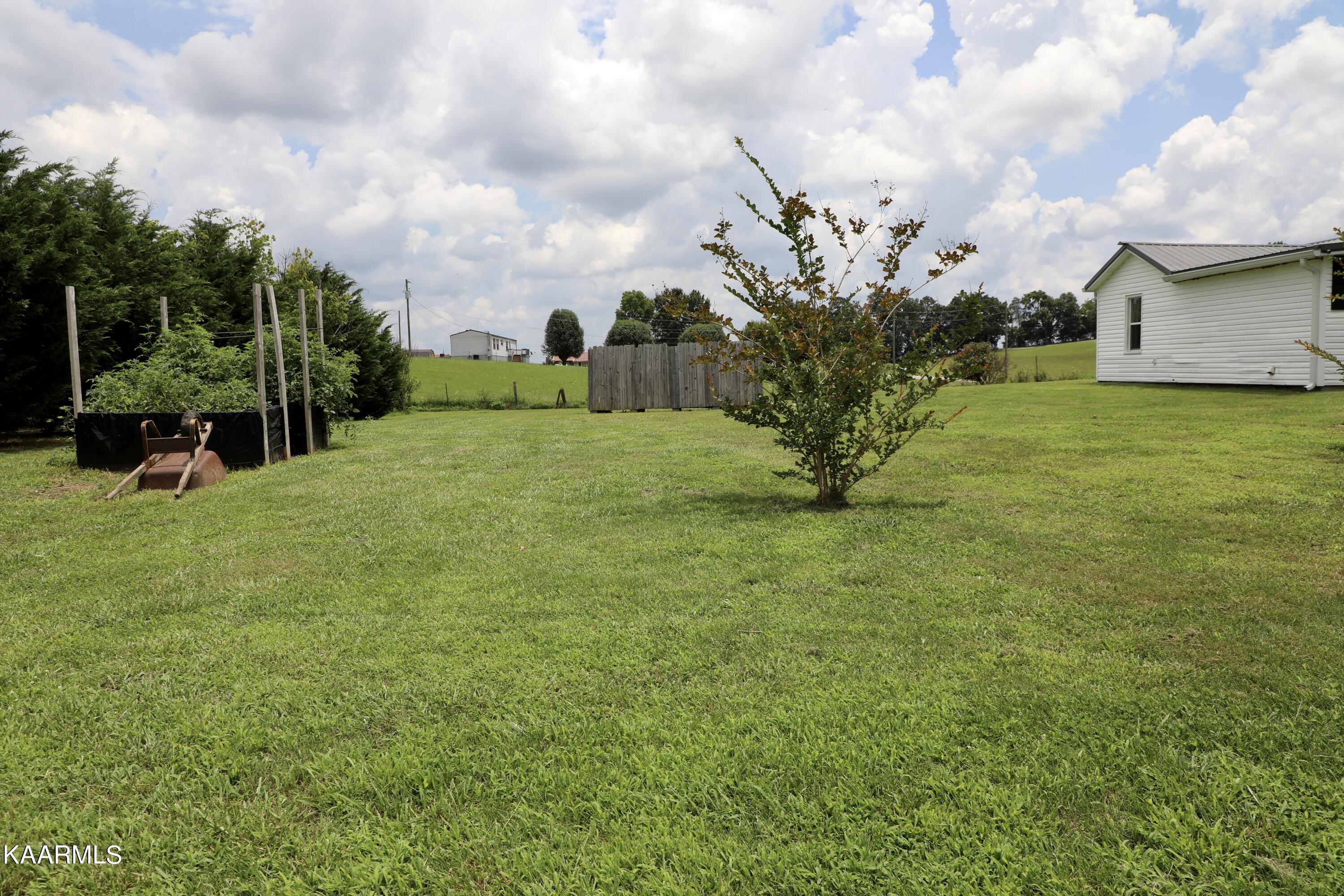 297 County Road 312 Sweetwater, TN 37874 - Photo 32 of 35 Back Yard