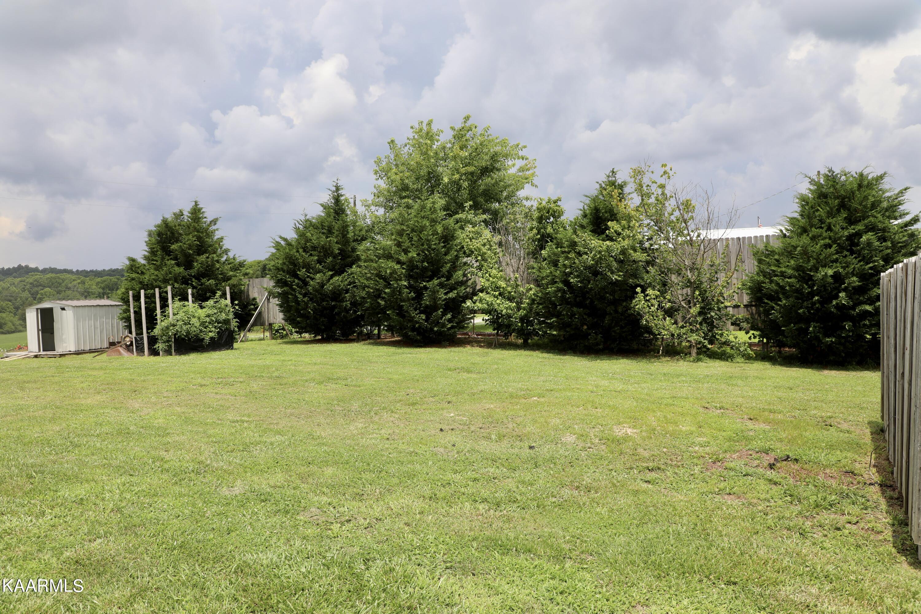 297 County Road 312 Sweetwater, TN 37874 - Photo 33 of 35 Back Yard