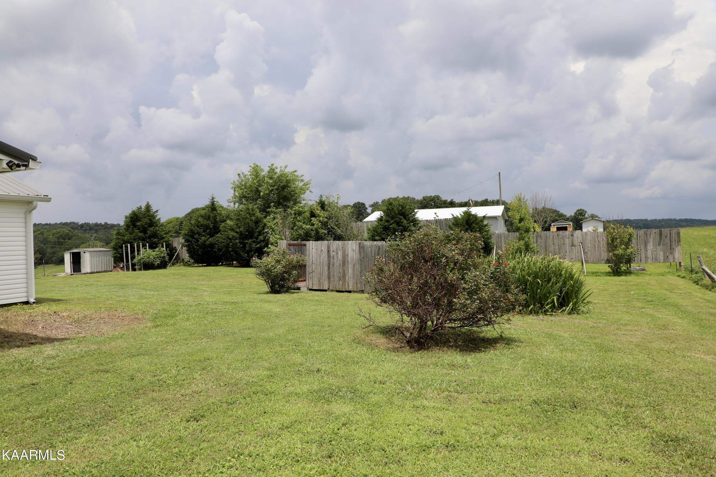 297 County Road 312 Sweetwater, TN 37874 - Photo 34 of 35 Side Yard