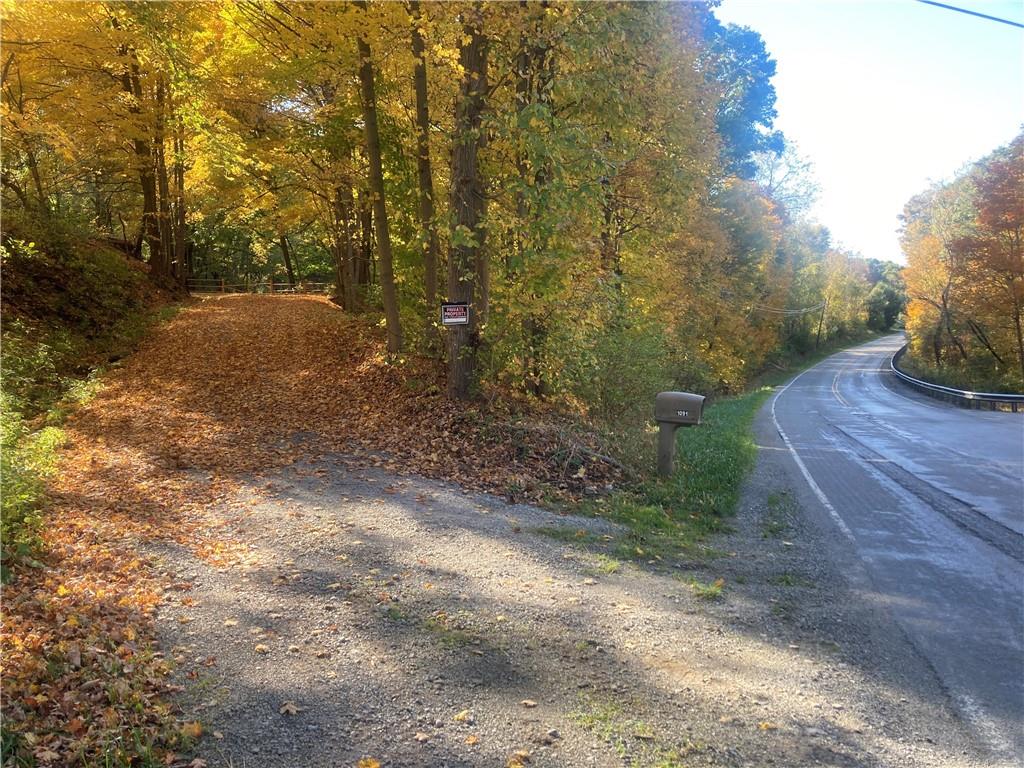 a view of backyard with green space