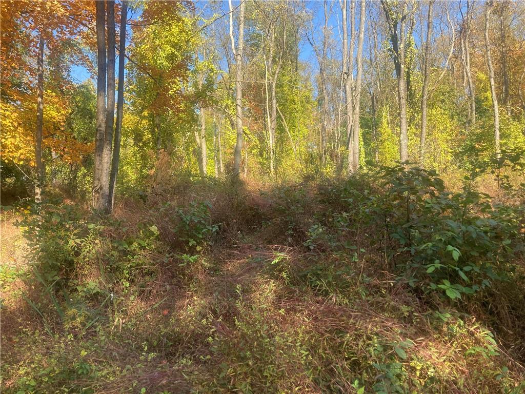 1091 Blackhawk Road Beaver Falls, PA 15010 - Photo 11 of 18