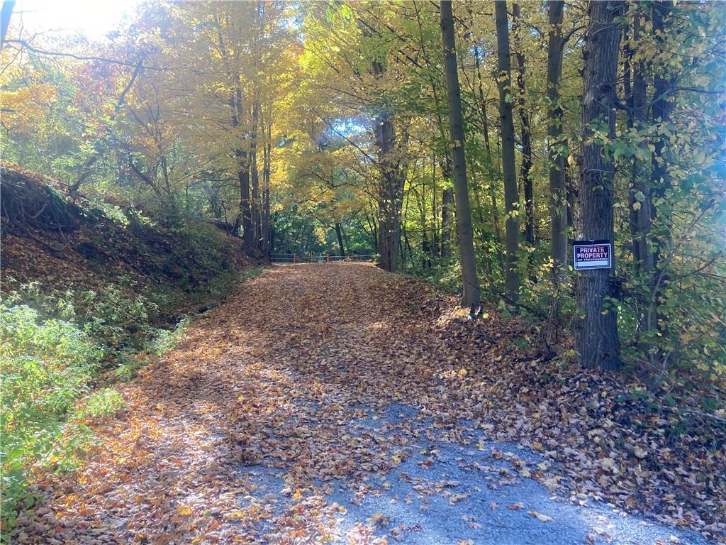 1091 Blackhawk Road Beaver Falls, PA 15010 - Photo 13 of 18 a view of a forest filled with trees