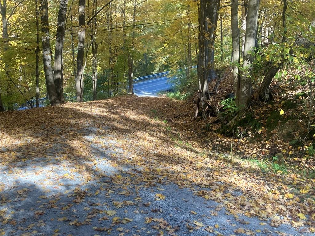1091 Blackhawk Road Beaver Falls, PA 15010 - Photo 14 of 18 a view of a yard with large trees