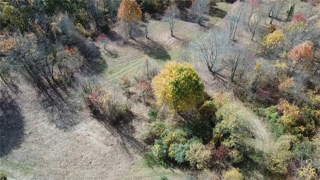 1091 Blackhawk Road Beaver Falls, PA 15010 - Photo 17 of 18 a view of a forest with trees