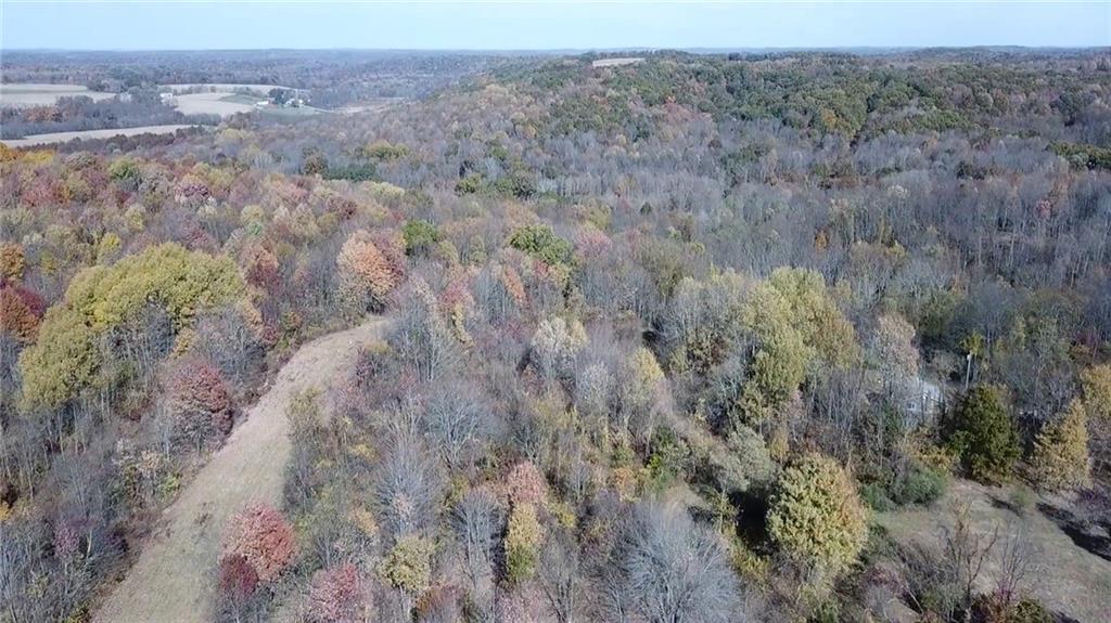 1091 Blackhawk Road Beaver Falls, PA 15010 - Photo 18 of 18 a view of a dry yard