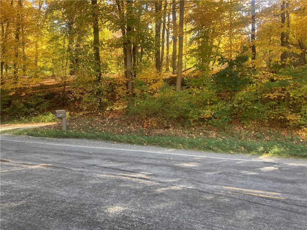 1091 Blackhawk Road Beaver Falls, PA 15010 - Photo 2 of 18 a view of a yard