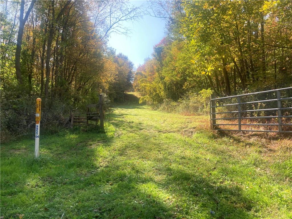 1091 Blackhawk Road Beaver Falls, PA 15010 - Photo 3 of 18 a view of yard with green space and trees all around