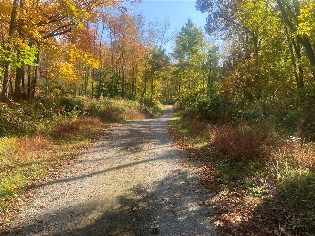 1091 Blackhawk Road Beaver Falls, PA 15010 - Photo 8 of 18 a view of a yard with trees