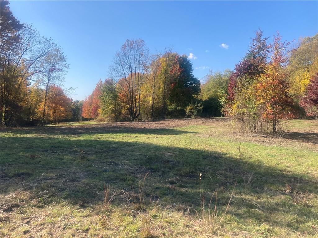 1091 Blackhawk Road Beaver Falls, PA 15010 - Photo 10 of 18 a view of outdoor space with trees