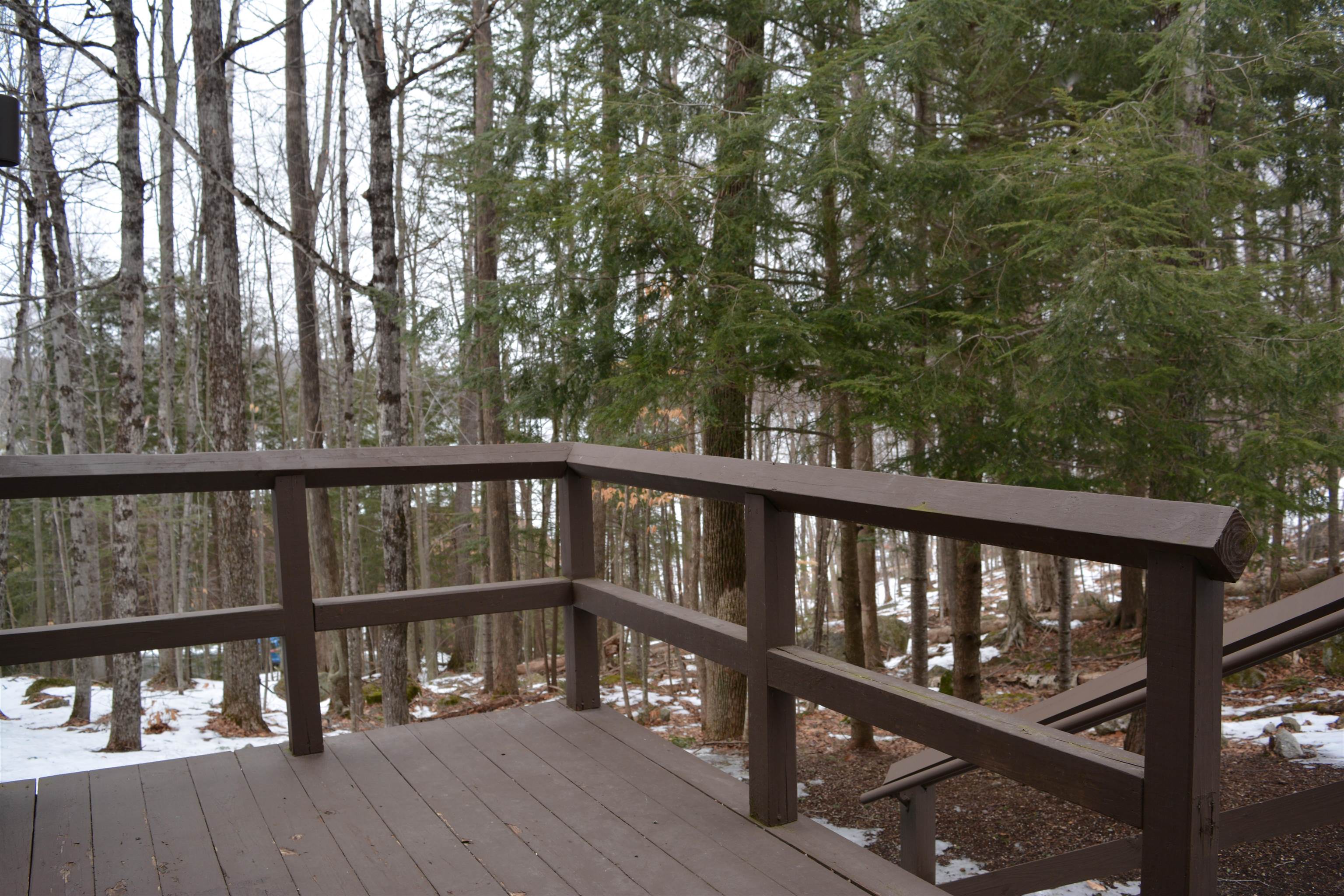 60 College Overlook, Unit 60 Grantham, NH 03753 - Photo 26 of 40
