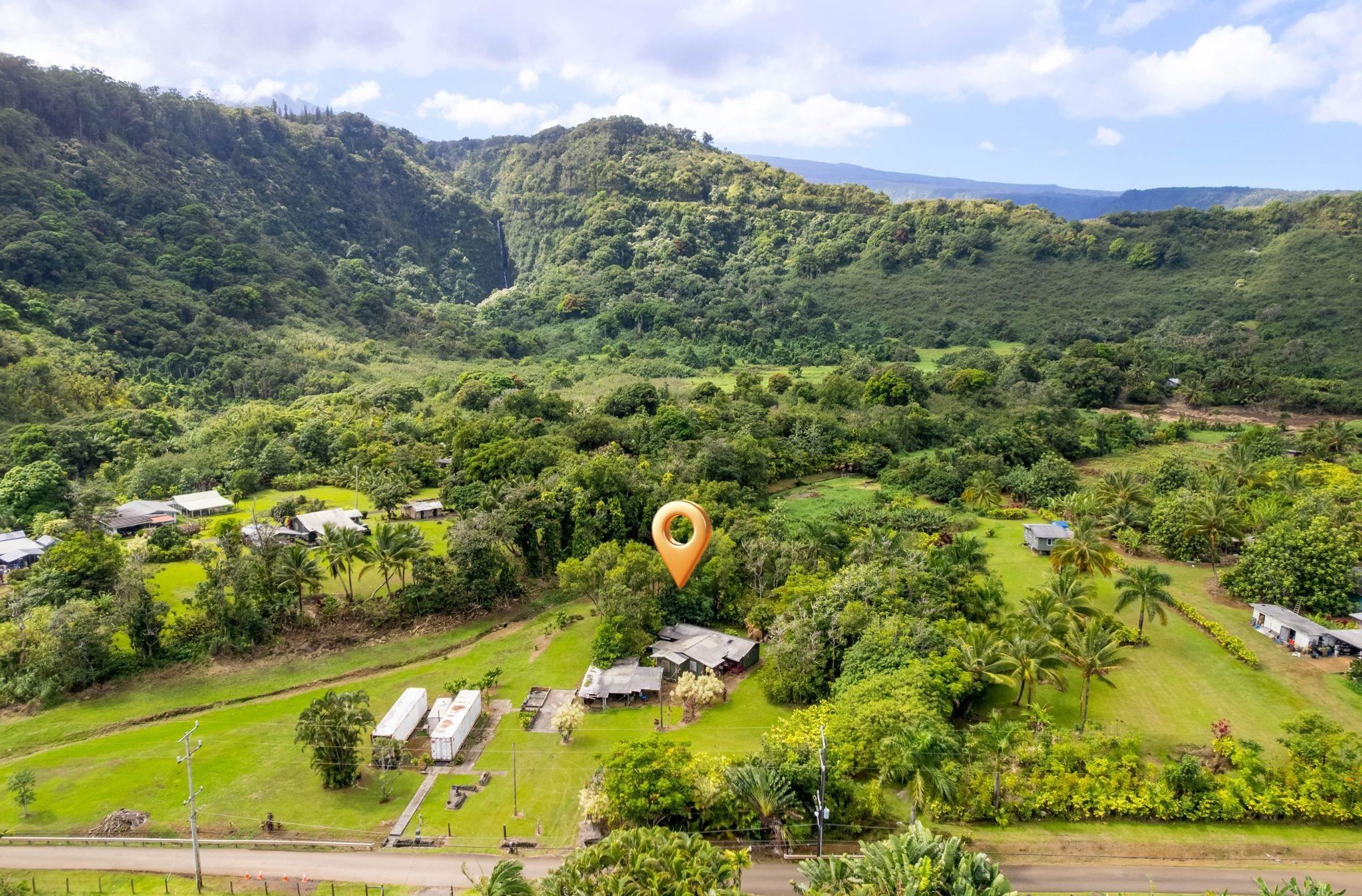 262 Wailua Road Haiku, HI 96708 - Photo 1 of 38 a view of a forest with a lake