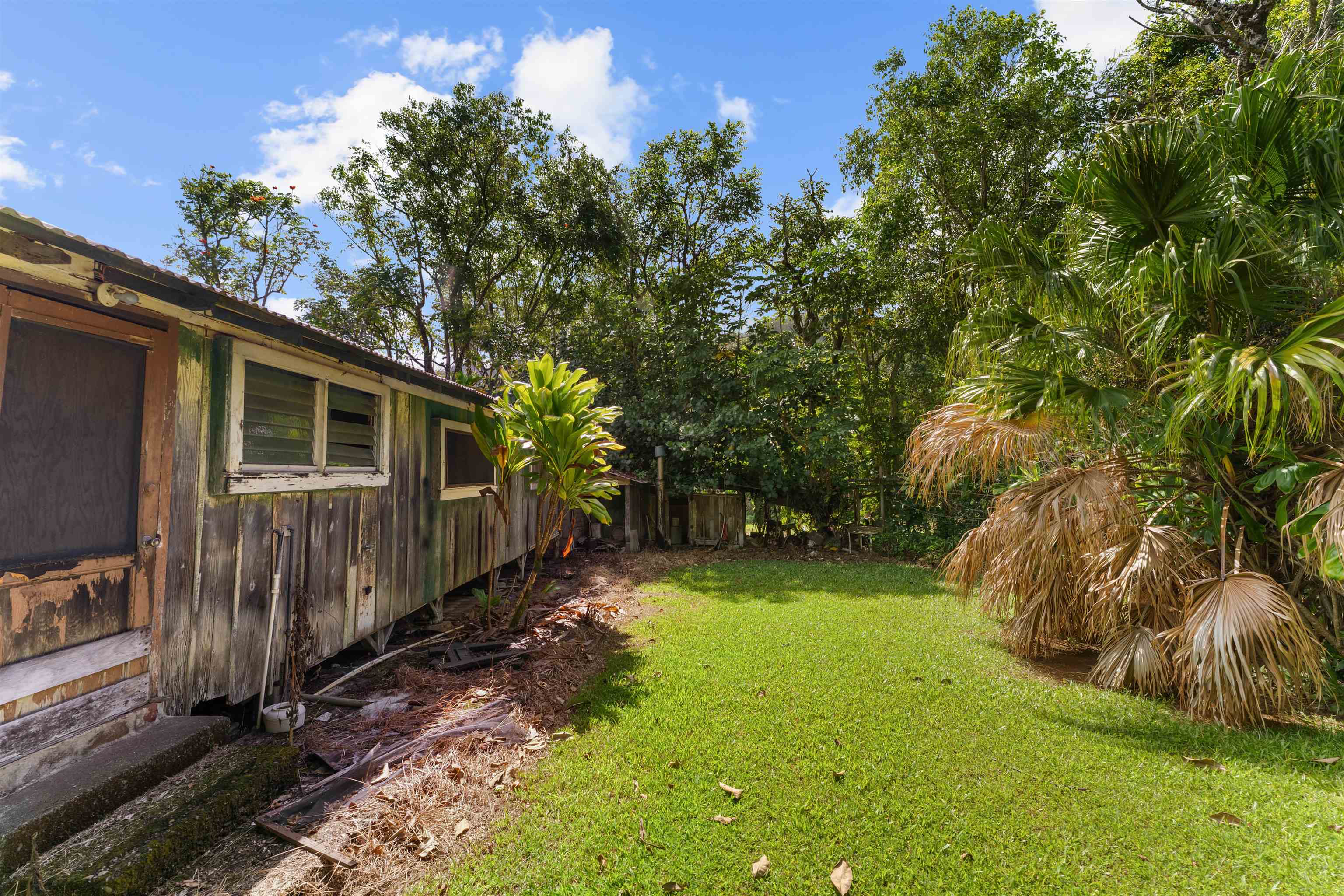 262 Wailua Road Haiku, HI 96708 - Photo 21 of 38 a view of backyard with green space