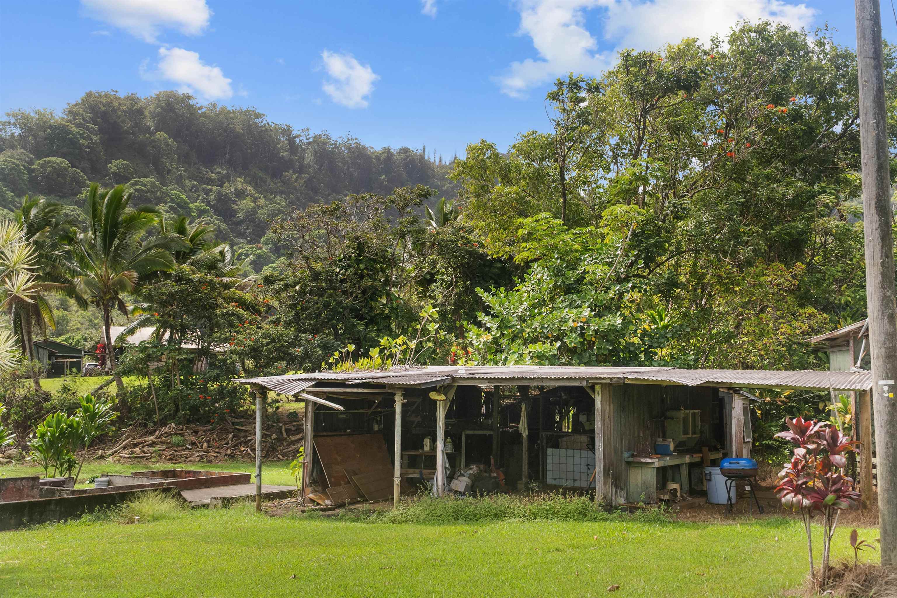 262 Wailua Road Haiku, HI 96708 - Photo 22 of 38 a view of house with garden space and swimming pool