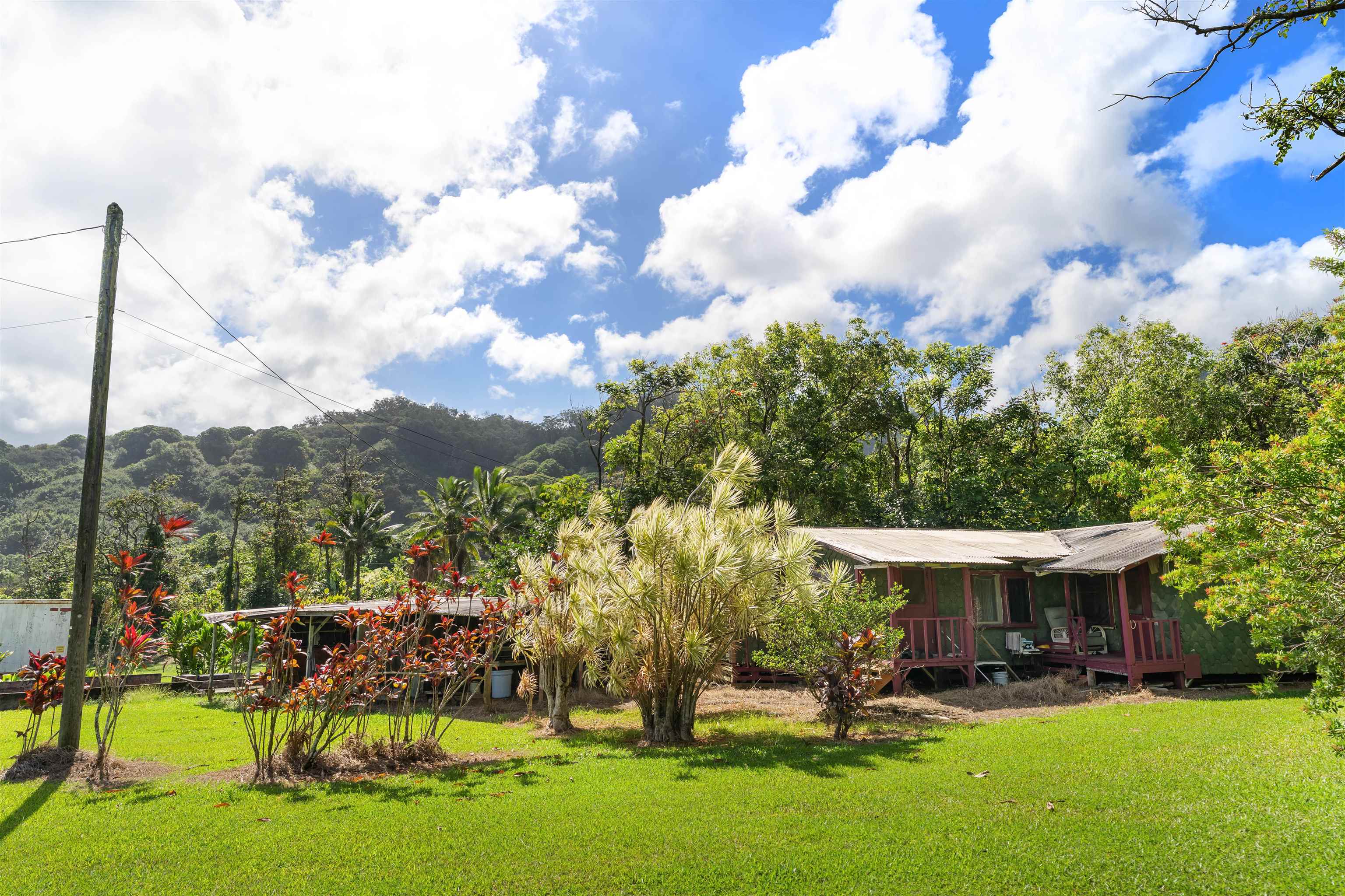 262 Wailua Road Haiku, HI 96708 - Photo 3 of 38 a view of a house with a yard porch and sitting area
