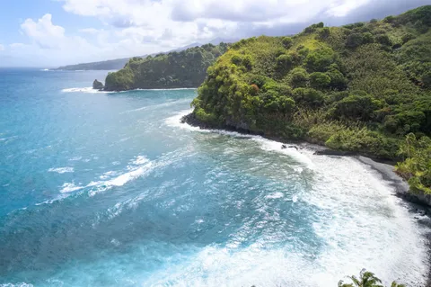 a view of a city with lush green forest