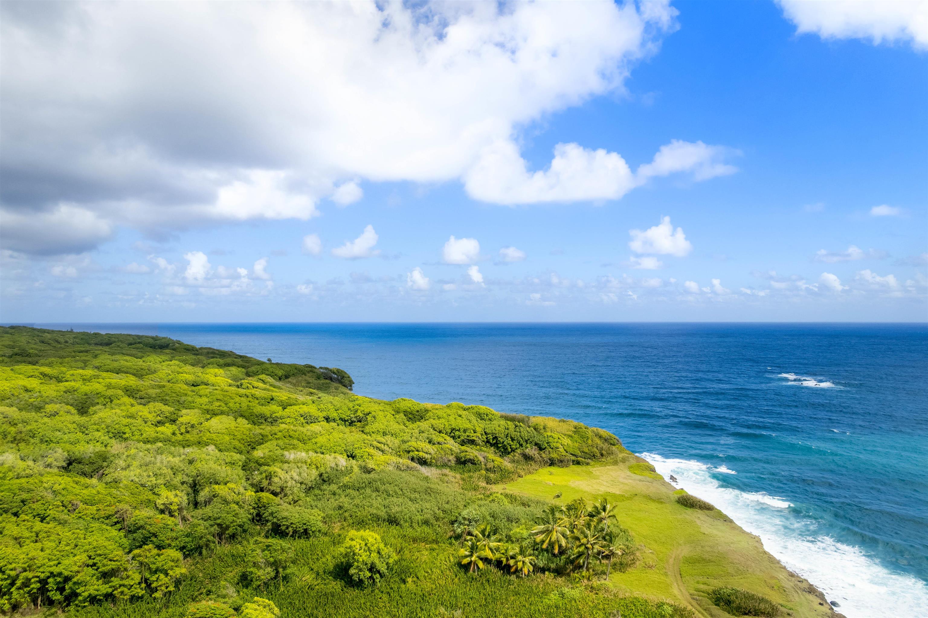 262 Wailua Road Haiku, HI 96708 - Photo 35 of 38 a view of an ocean