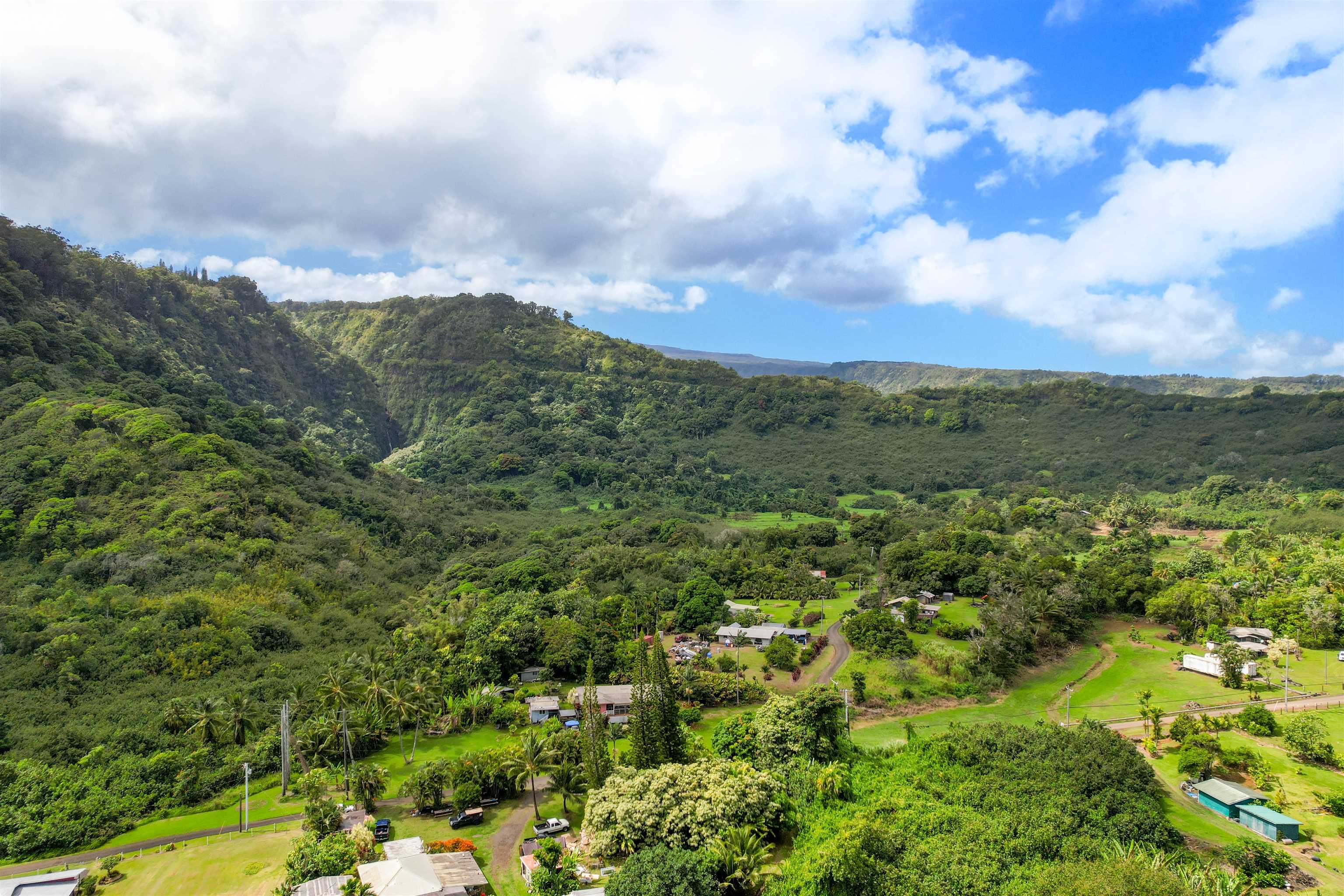 262 Wailua Road Haiku, HI 96708 - Photo 36 of 38 a view of a city with lush green forest