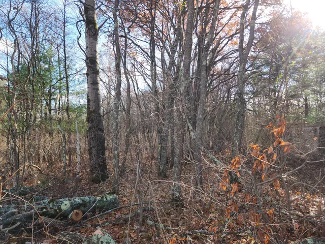 $44,900 | Vl Vl Us-10 Nw Baldwin Mi 49304 Northwest, Branch, MI 49402