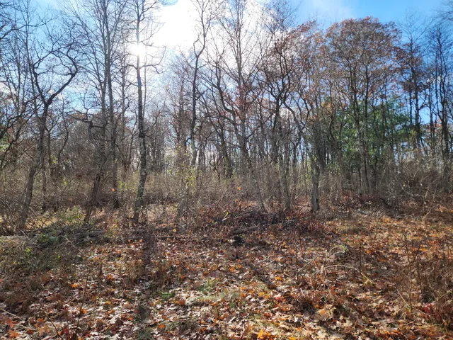 $44,900 | Vl Vl Us-10 Nw Baldwin Mi 49304 Northwest, Branch, MI 49402