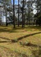 0 Bolen Point Road Green Pond, SC 29446 - Photo 2 of 3