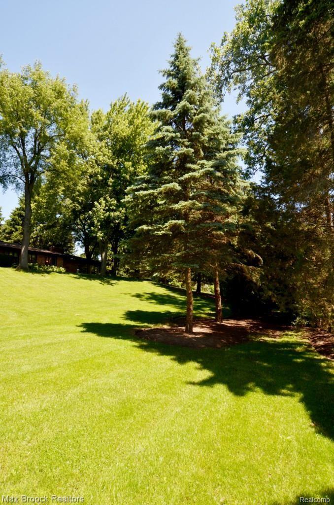 3791 West Pemberton Road Bloomfield Hills, MI 48302 - Photo 26 of 82 Backtall2 copy.jpg