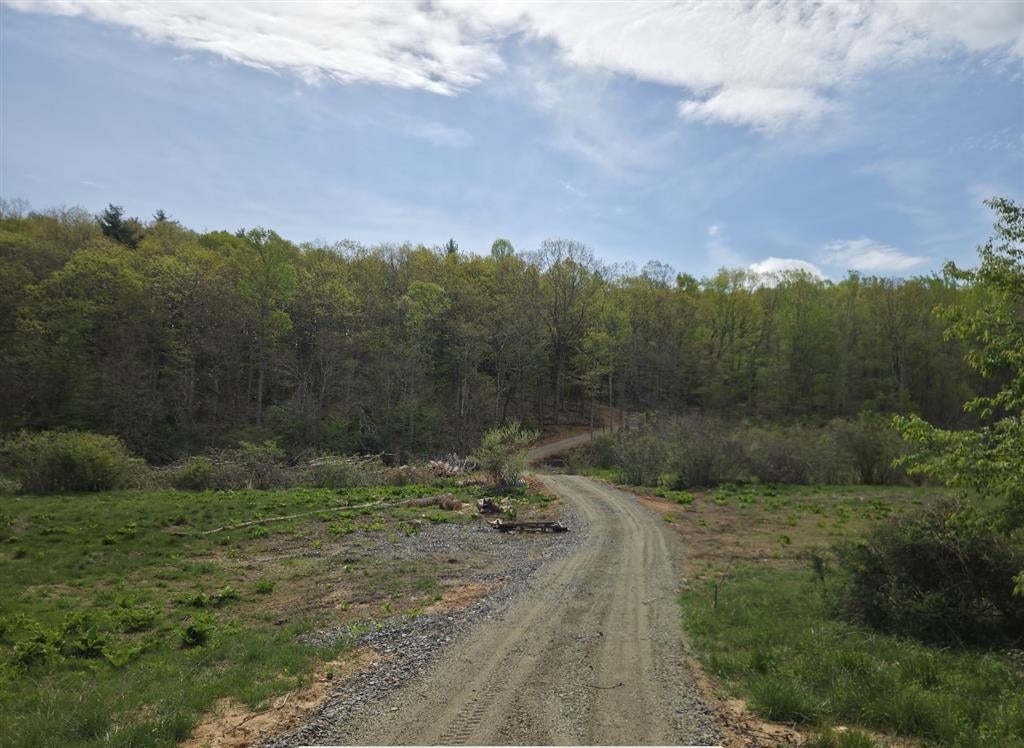 271 Spring Dale Road Southwest Floyd, VA 24091 - Photo 1 of 14 Gallery Image 1