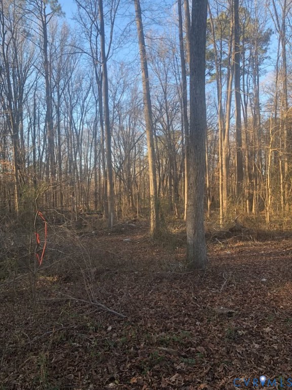 Lot 6 Old Cox Road Blackstone, VA 23824 - Photo 3 of 5