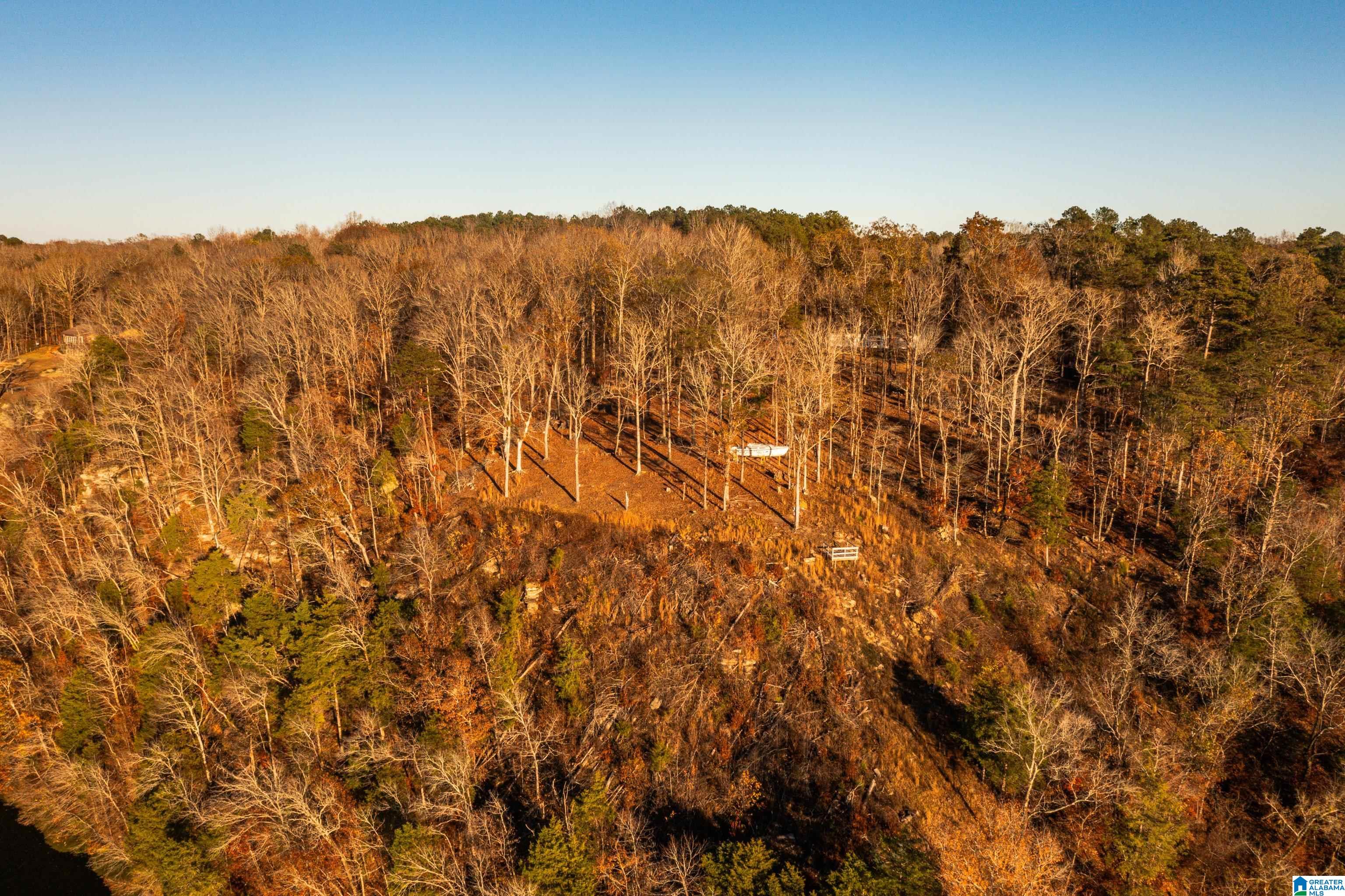 191 Warrior River Highlands Road Adger, AL 35006 - Photo 76 of 81