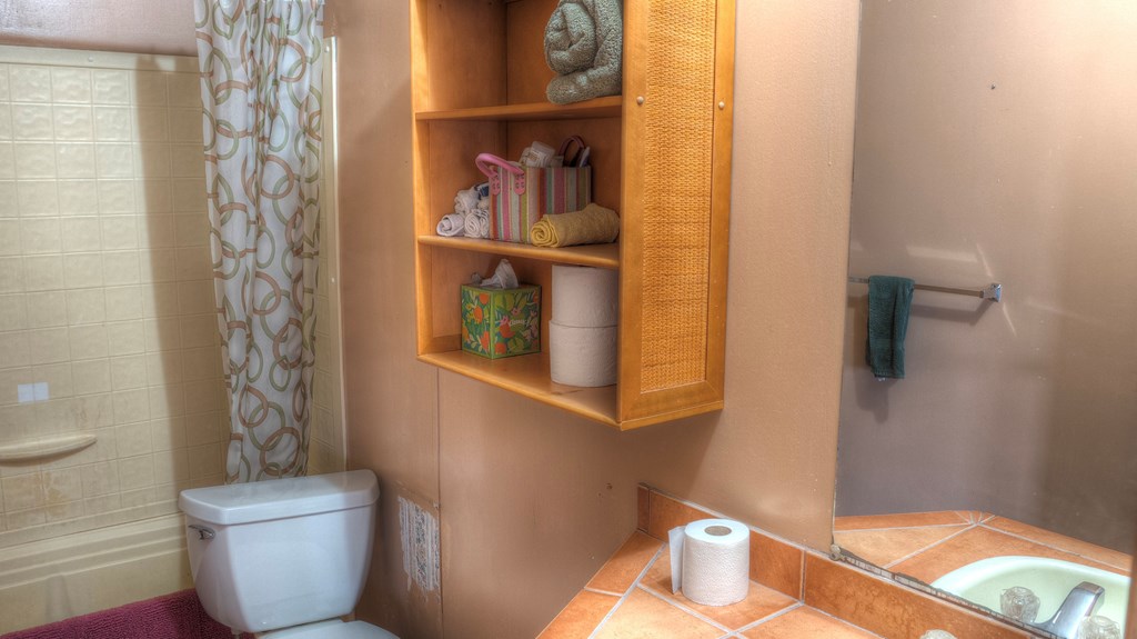 560 Pine Mountain Road Camp Wood, TX 78833 - Photo 20 of 38 a bathroom with a toilet and a shower curtain