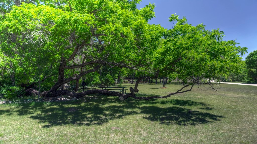 560 Pine Mountain Road Camp Wood, TX 78833 - Photo 35 of 38 a green field with lots of trees