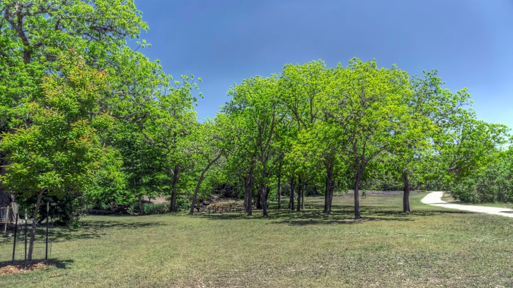 560 Pine Mountain Road Camp Wood, TX 78833 - Photo 36 of 38 a backyard of a house with lots of plants and tree