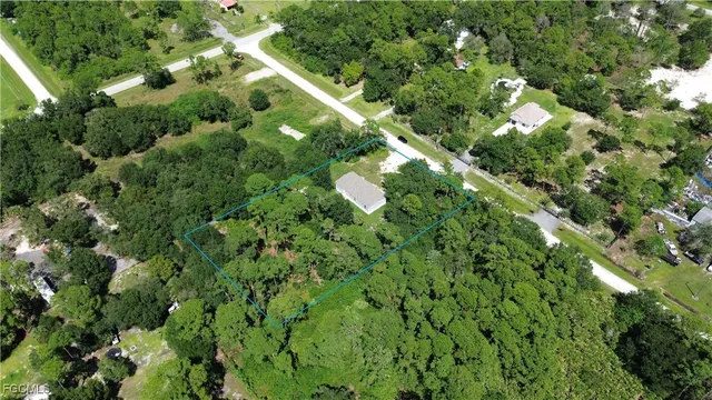 a close up of a tree in a garden