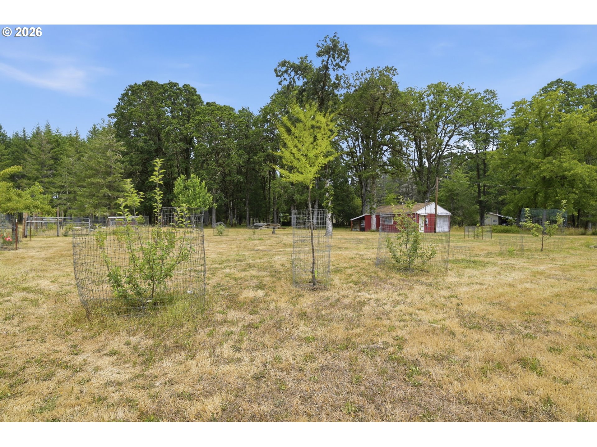 24137 Warthen Road Elmira, OR 97437 - Photo 16 of 46 Gallery Image 16