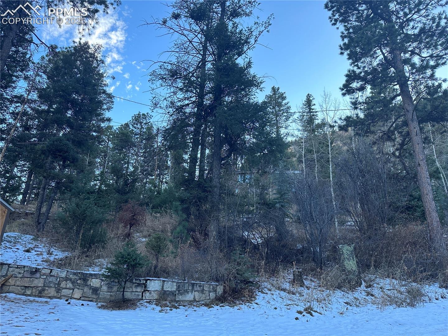 Wildwood Road Cascade, CO 80809 - Photo 1 of 2 Picture of vacant lot