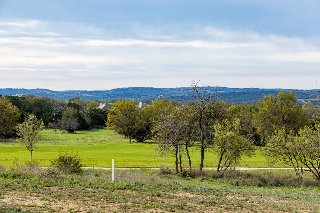 1080 Albatross Way East Kerrville, TX 78028 - Photo 5 of 9