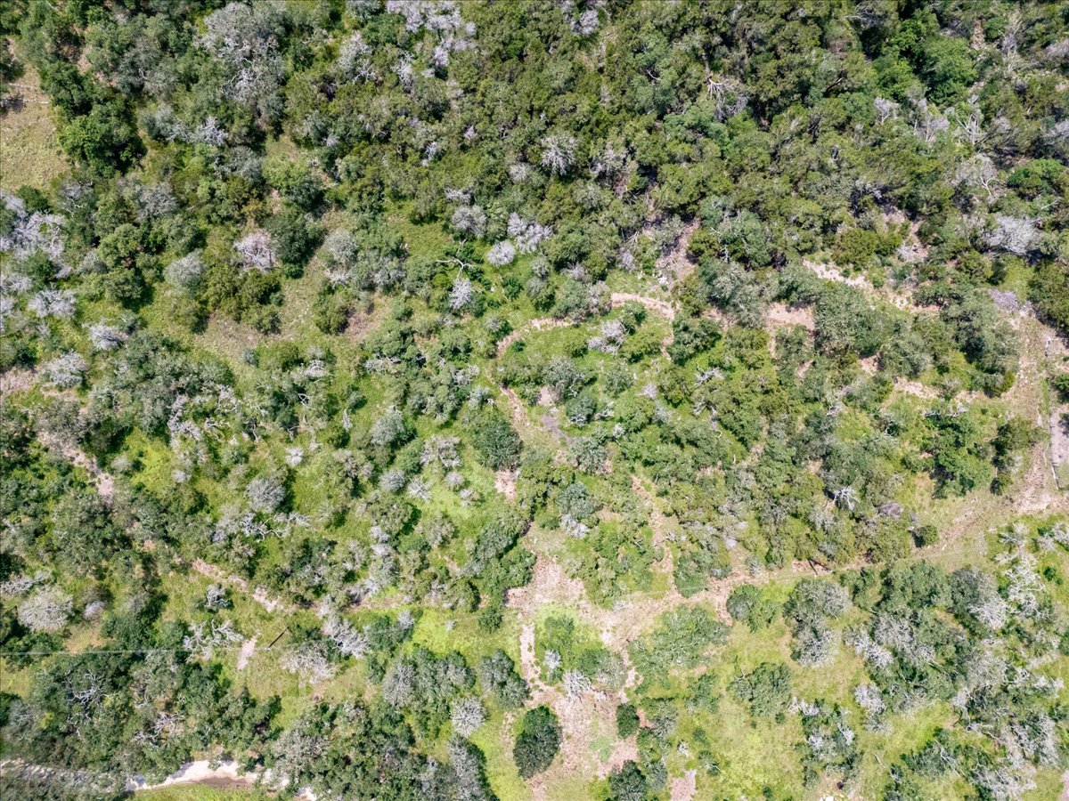 Tbd River Mountain Road Wimberley, TX 78676 - Photo 9 of 14