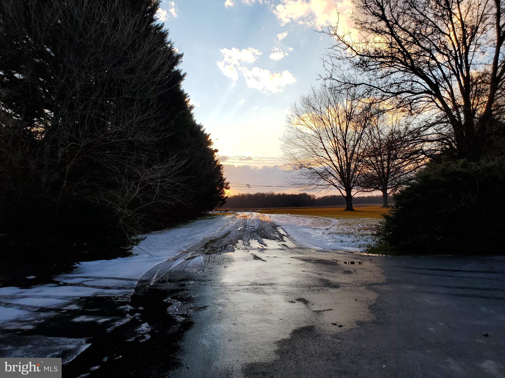 2019 Crystal Beach Road Earleville, MD 21919 - Photo 3 of 22 Asphalt drive, no muddy mess