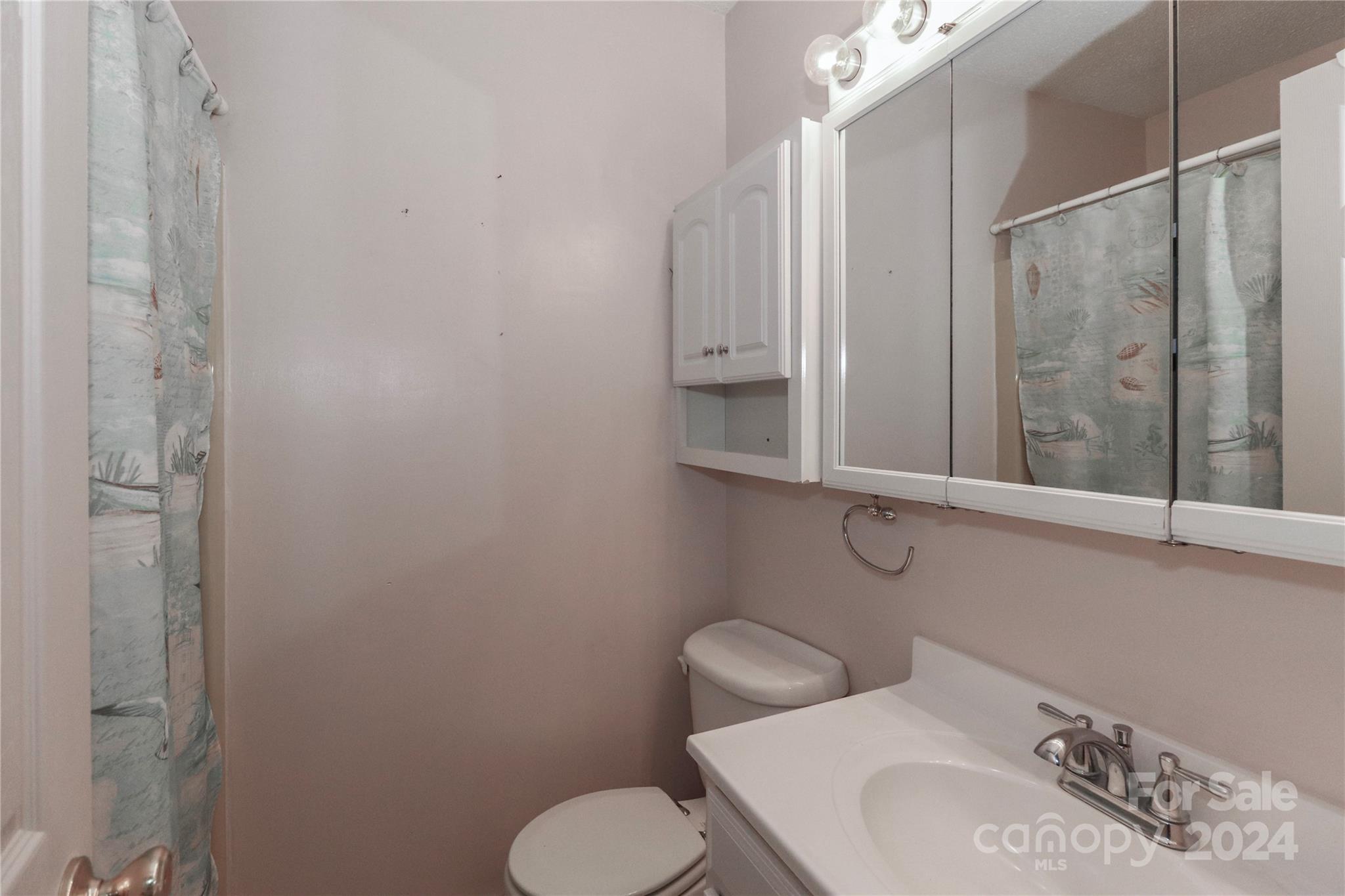 168 Mooreland Road Mooresville, NC 28117 - Photo 18 of 31 a bathroom with a toilet sink and mirror