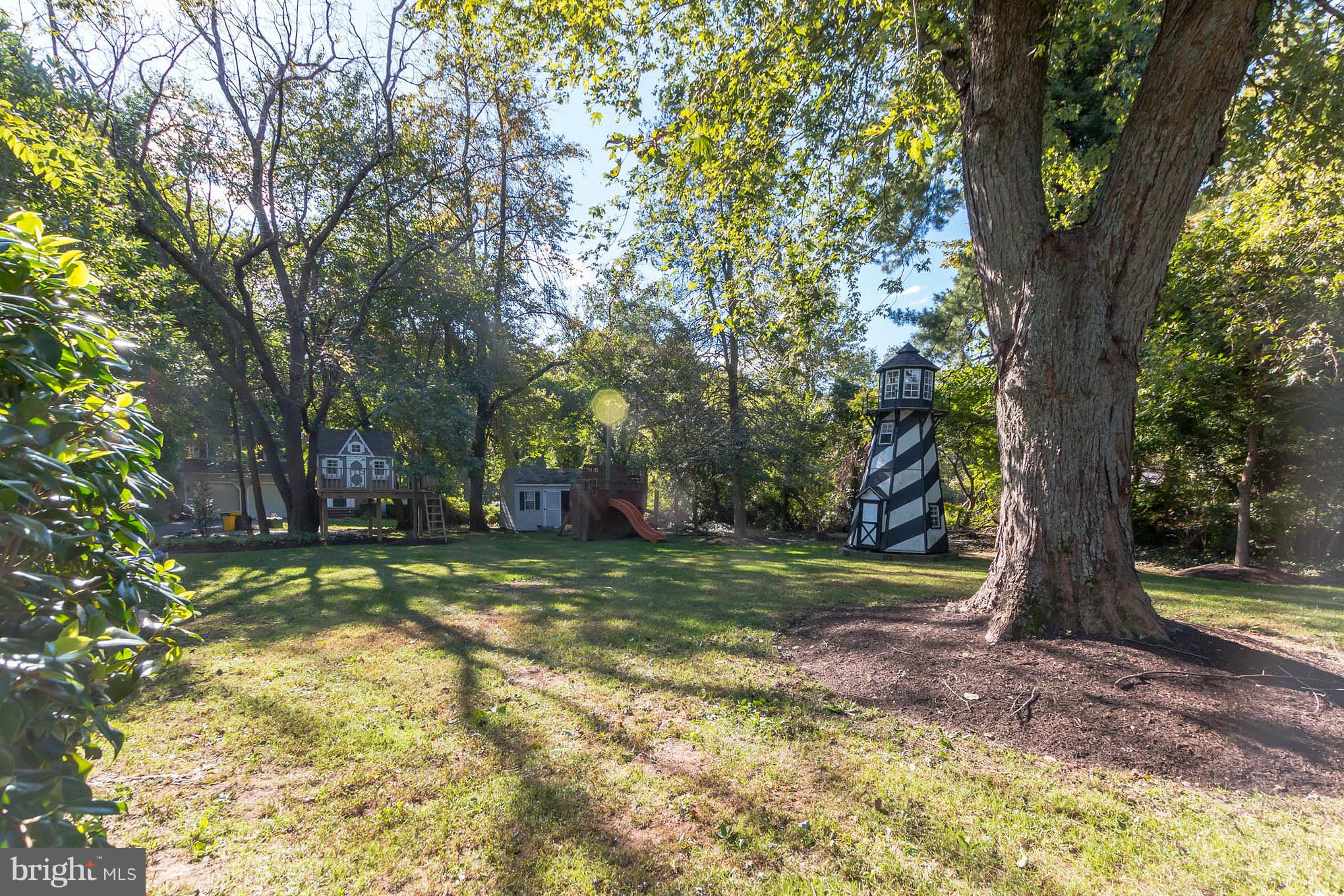 61 Church Road Arnold, MD 21012 - Photo 15 of 28 Rear yard, beautiful Maple providing shade