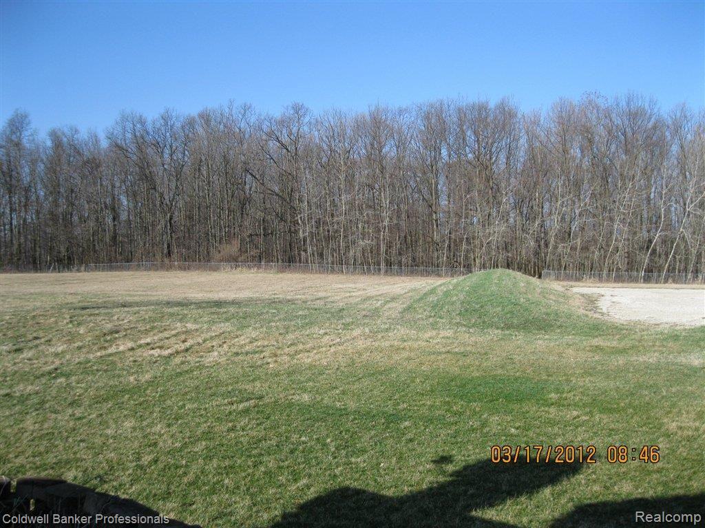 5290 Washburn Road Goodrich, MI 48438 - Photo 20 of 20 View to Woods at Rear 1.JPG
