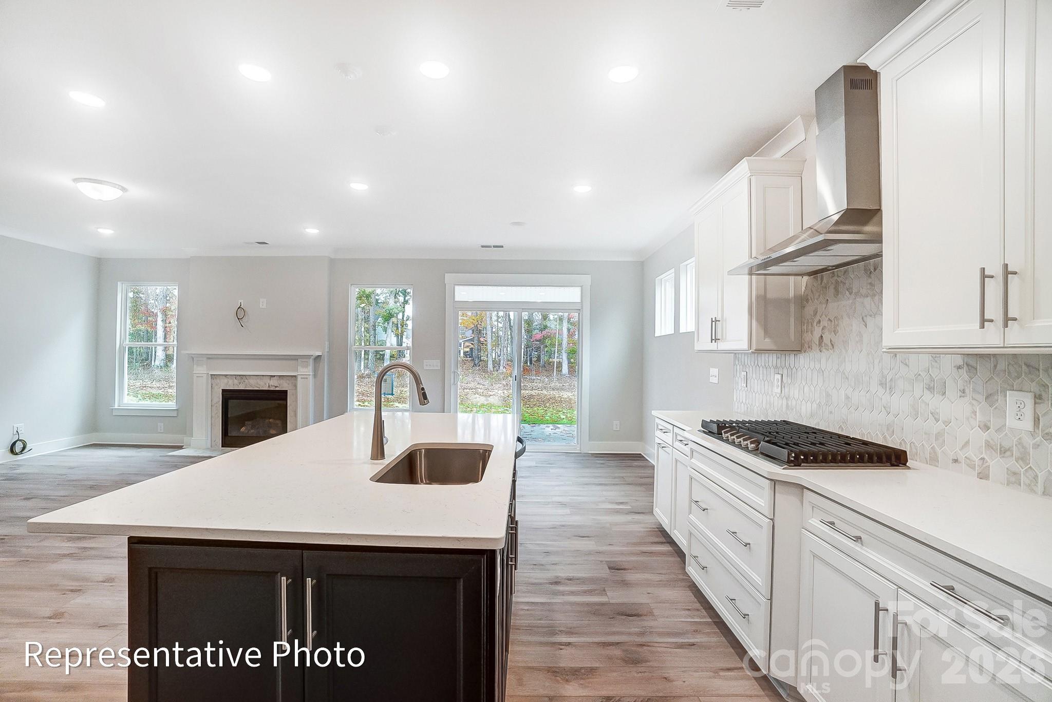 2019 Mantle Rdg Drive Indian Trail, NC 28079 - Photo 13 of 41 a kitchen with granite countertop a stove sink and cabinets